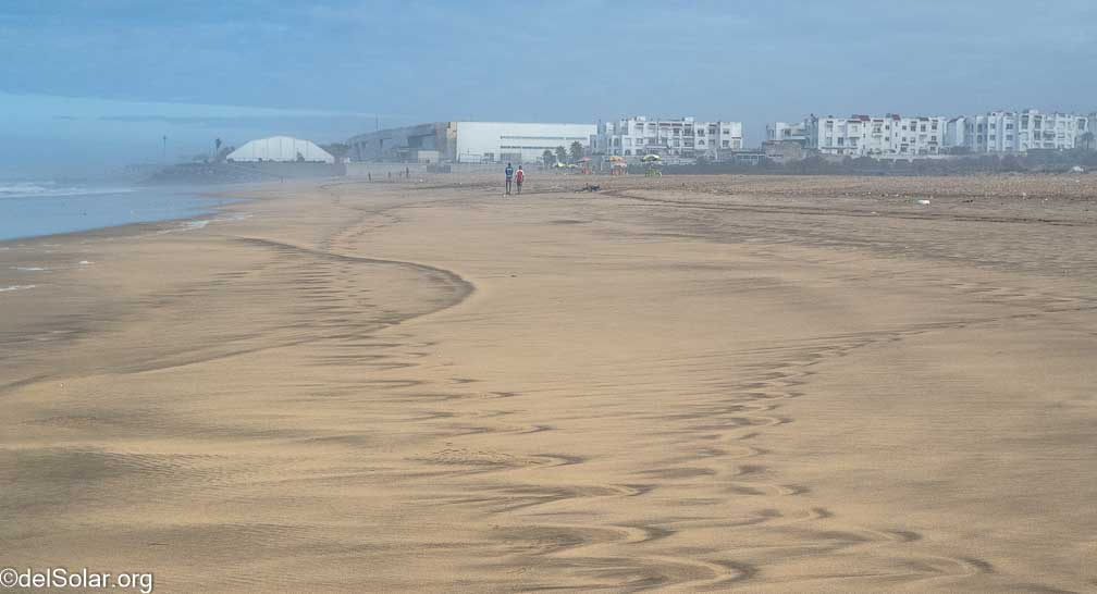 Canon EOS R7  --   -- 1/2000 sec -- ISO 800 -- 0 EV -- 