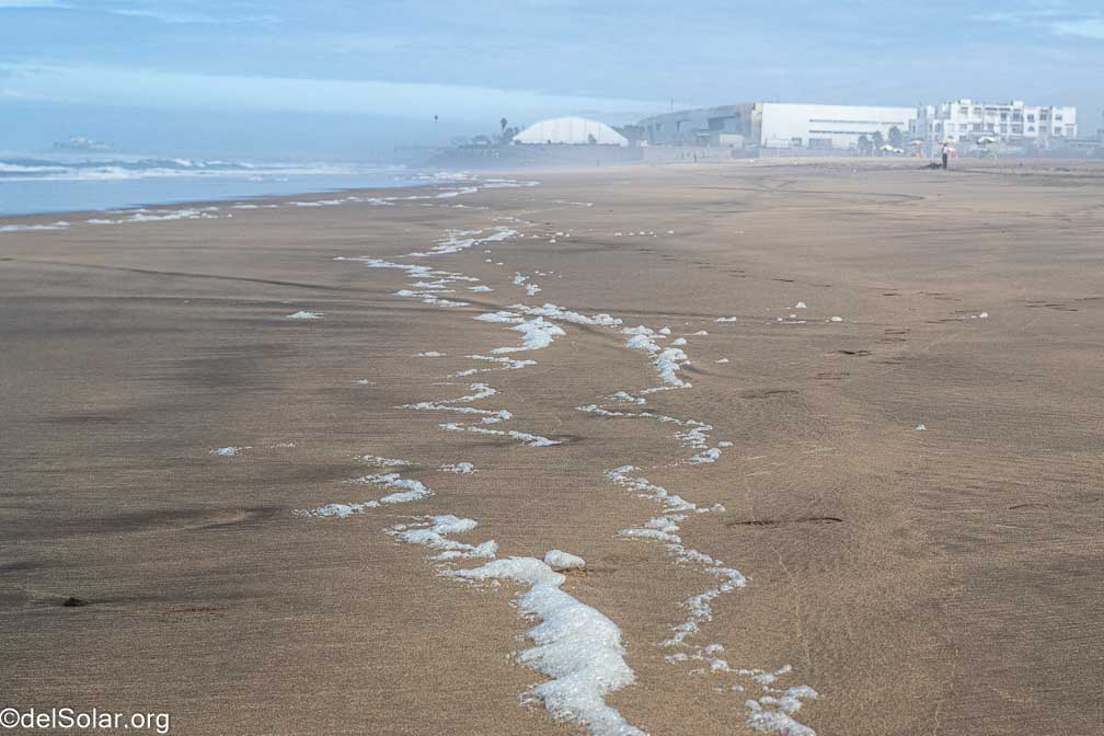 Canon EOS R7  --   -- 1/500 sec -- ISO 200 -- 0 EV -- 