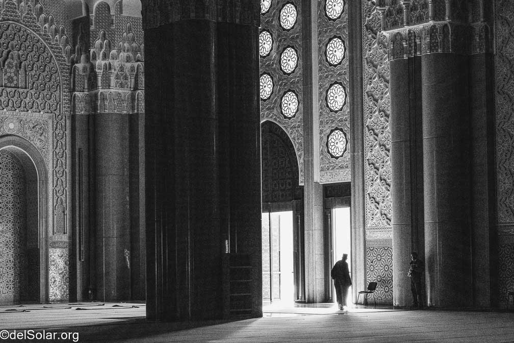 Canon EOS R7  --  RF-S18-150mm F3.5-6.3 IS STM -- 1/500 sec at f / 7.1 -- ISO 6400 -- 0 EV -- 