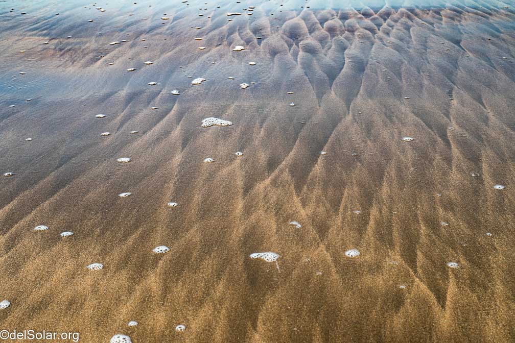 Canon EOS R7  --   -- 1/200 sec -- ISO 200 -- 0 EV -- 