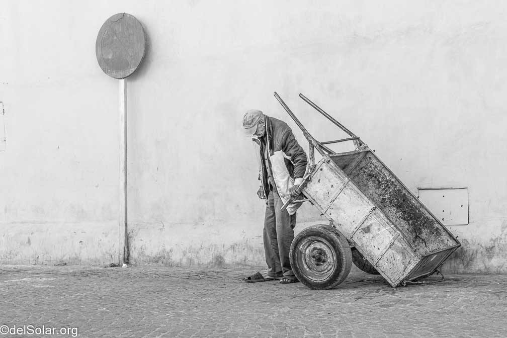 Canon EOS R7  --  RF-S18-150mm F3.5-6.3 IS STM -- 1/200 sec at f / 8.0 -- ISO 250 -- 0 EV -- 