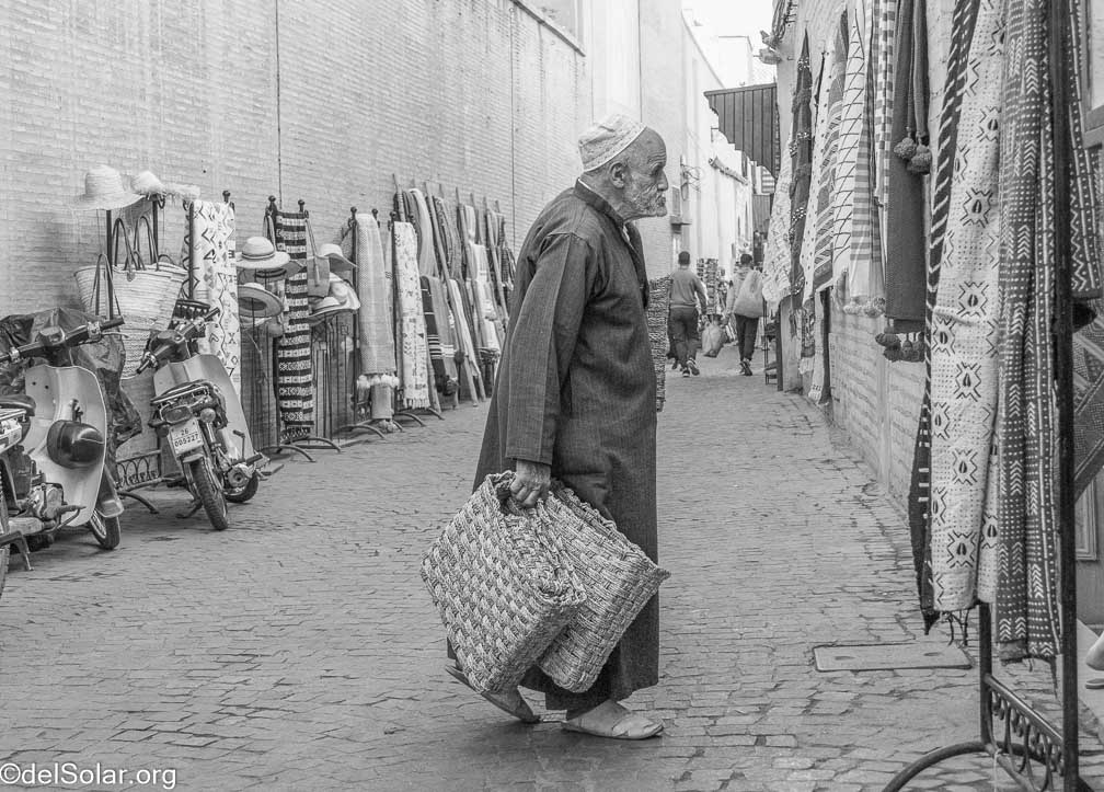 Canon EOS R7  --  RF-S18-150mm F3.5-6.3 IS STM -- 1/800 sec at f / 5.6 -- ISO 1600 -- 0 EV -- 