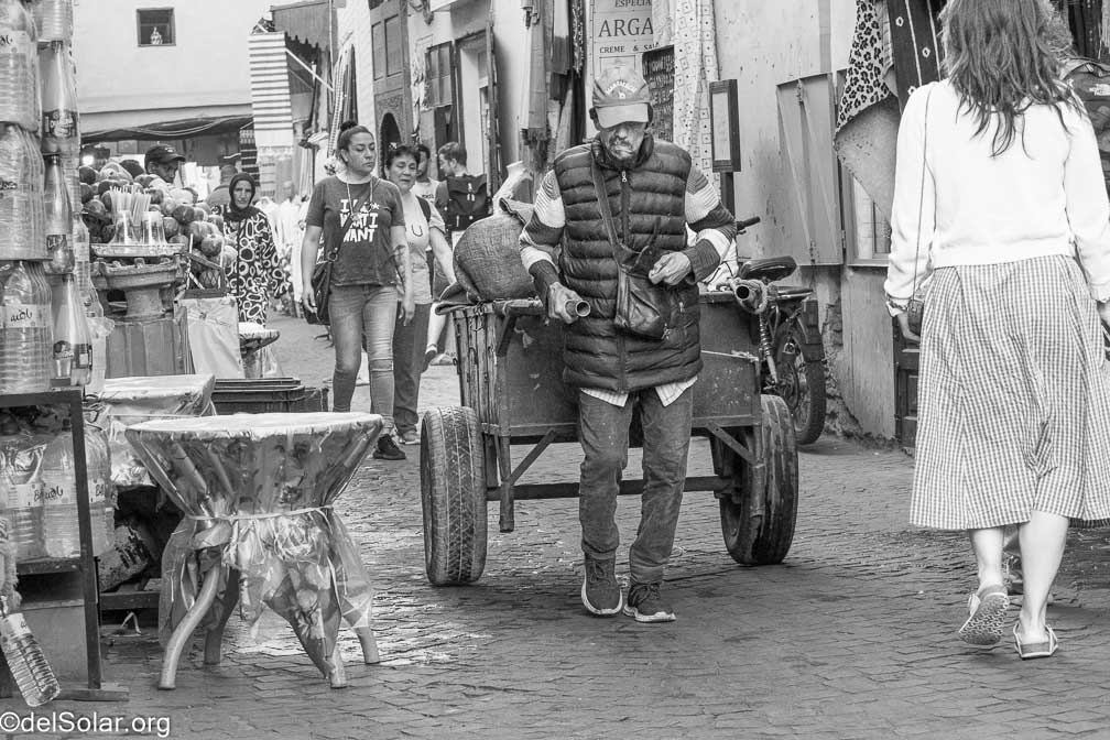 Canon EOS R7  --  RF-S18-150mm F3.5-6.3 IS STM -- 1/320 sec at f / 7.1 -- ISO 1000 -- 0 EV -- 