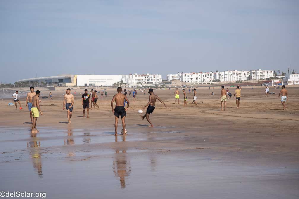 ILCE-7RM4  --  18-50mm F2.8 DC DN | Contemporary 021 -- 1/2500 sec at f / 3.5 -- ISO 100 -- 0 EV -- 