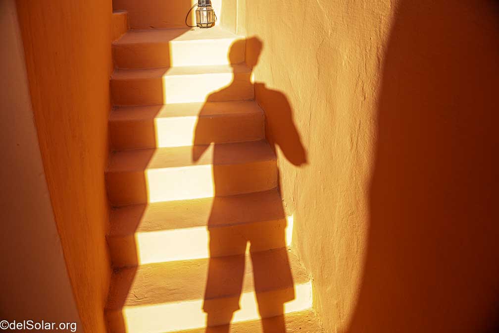 ILCE-7RM4  --  18-50mm F2.8 DC DN | Contemporary 021 -- 1/100 sec at f / 5.0 -- ISO 160 -- 0 EV -- 