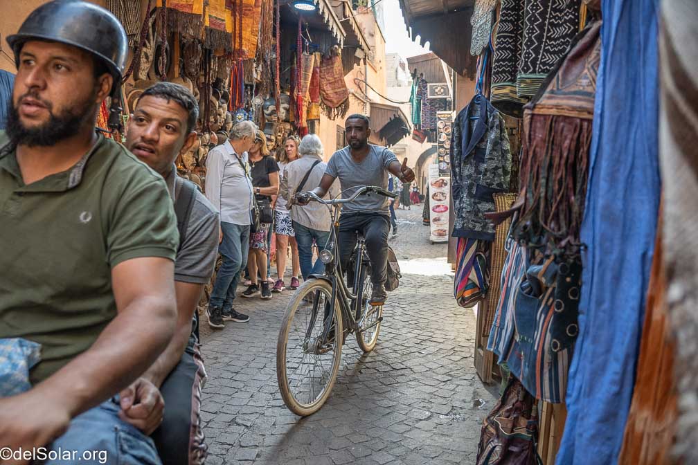 ILCE-7RM4  --  18-50mm F2.8 DC DN | Contemporary 021 -- 1/400 sec at f / 3.2 -- ISO 500 -- 0 EV -- 