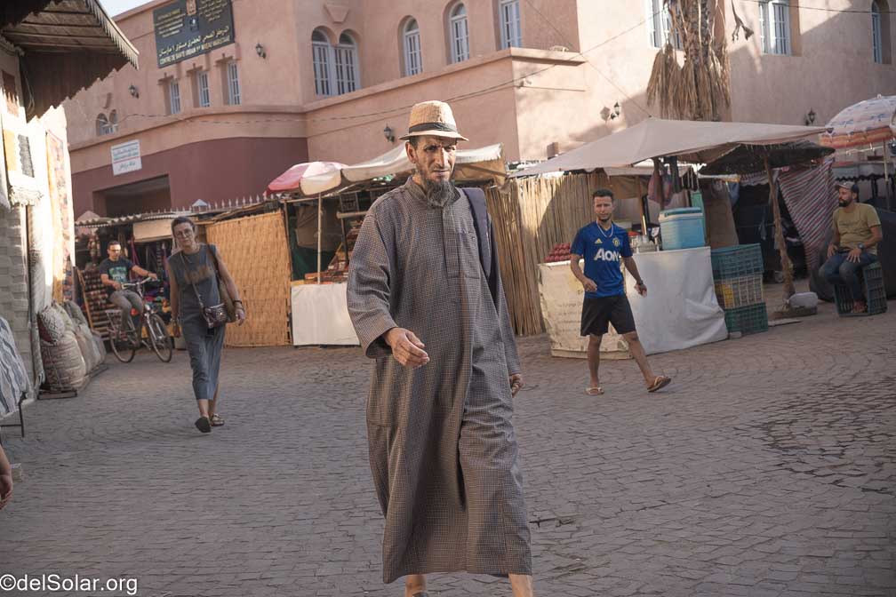 ILCE-7RM4  --  18-50mm F2.8 DC DN | Contemporary 021 -- 1/1000 sec at f / 4.0 -- ISO 320 -- -1 EV -- 