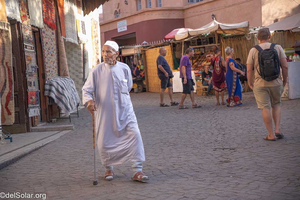 ILCE-7RM4  --  18-50mm F2.8 DC DN | Contemporary 021 -- 1/1600 sec at f / 3.5 -- ISO 320 -- -2 EV -- 