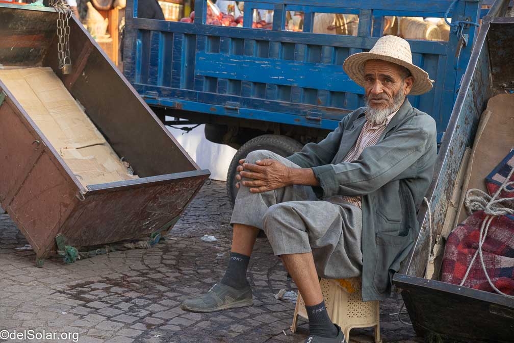 ILCE-7RM4  --  18-50mm F2.8 DC DN | Contemporary 021 -- 1/640 sec at f / 5.0 -- ISO 800 -- 0 EV -- 