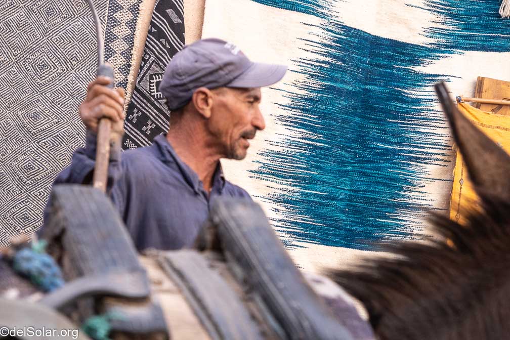 ILCE-7RM4  --  18-50mm F2.8 DC DN | Contemporary 021 -- 1/1250 sec at f / 4.0 -- ISO 800 -- 0 EV -- 