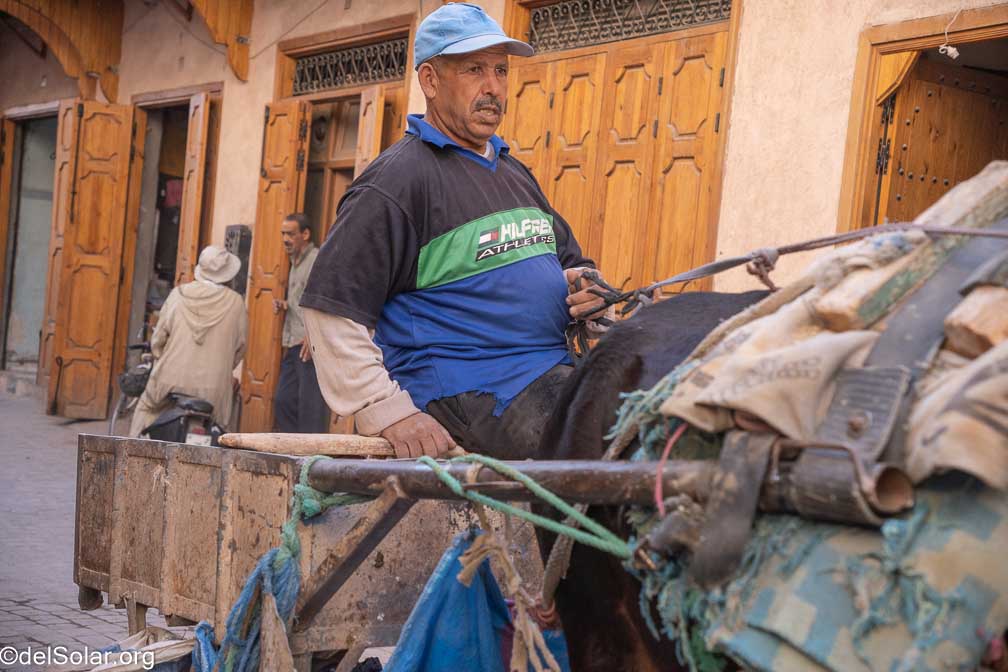 ILCE-7RM4  --  18-50mm F2.8 DC DN | Contemporary 021 -- 1/1250 sec at f / 4.0 -- ISO 800 -- 0 EV -- 