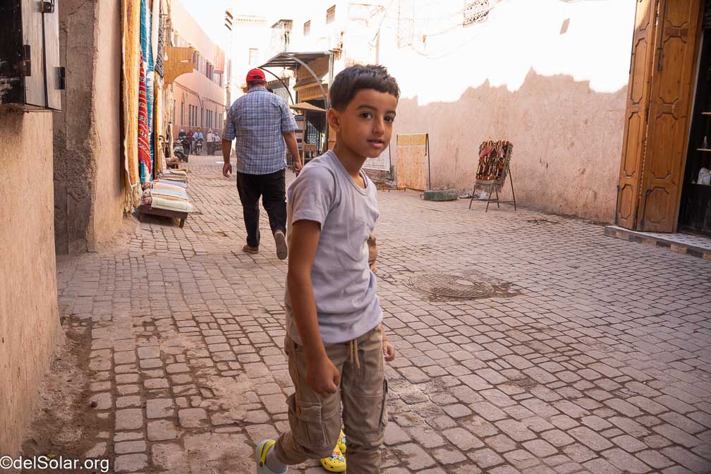 ILCE-7RM4  --  18-50mm F2.8 DC DN | Contemporary 021 -- 1/1250 sec at f / 4.0 -- ISO 800 -- 0 EV -- 