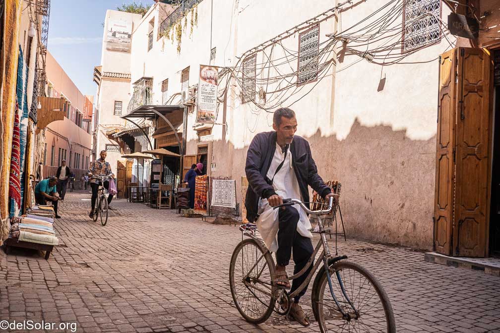 ILCE-7RM4  --  18-50mm F2.8 DC DN | Contemporary 021 -- 1/3200 sec at f / 4.0 -- ISO 500 -- 0 EV -- 