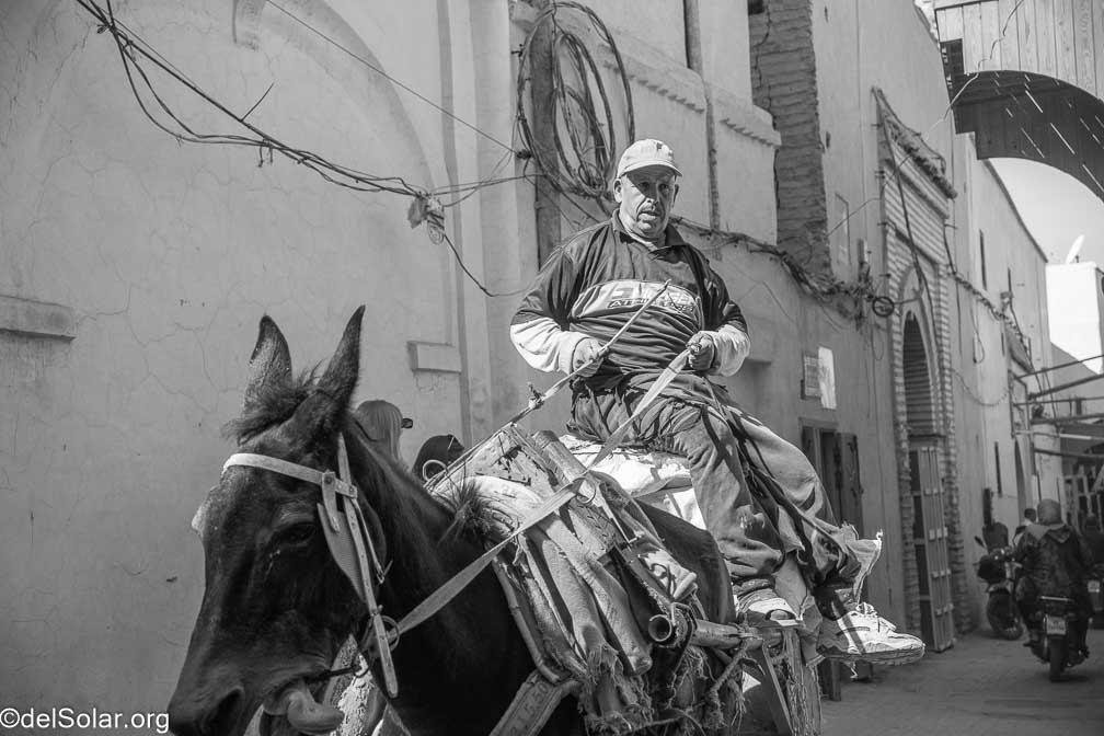 ILCE-7RM4  --  18-50mm F2.8 DC DN | Contemporary 021 -- 1/3200 sec at f / 4.0 -- ISO 500 -- 0 EV -- 