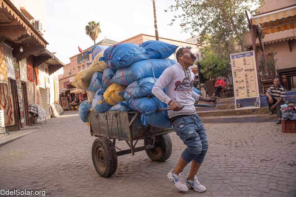 ILCE-7RM4  --  18-50mm F2.8 DC DN | Contemporary 021 -- 1/640 sec at f / 4.0 -- ISO 250 -- 0 EV -- 