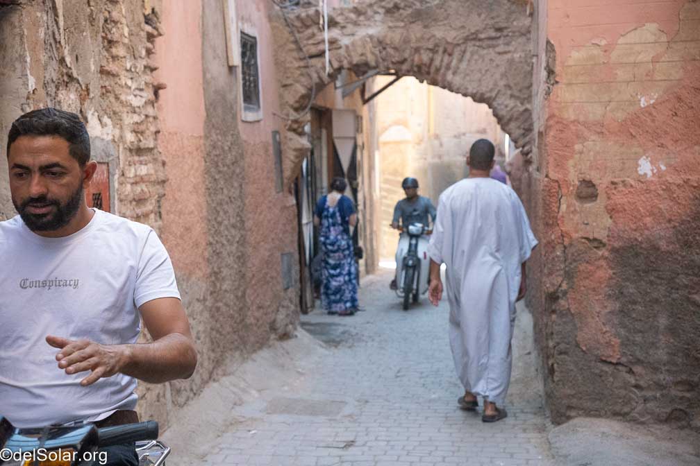 ILCE-7RM4  --  18-50mm F2.8 DC DN | Contemporary 021 -- 1/2500 sec at f / 4.0 -- ISO 5000 -- 0 EV -- 