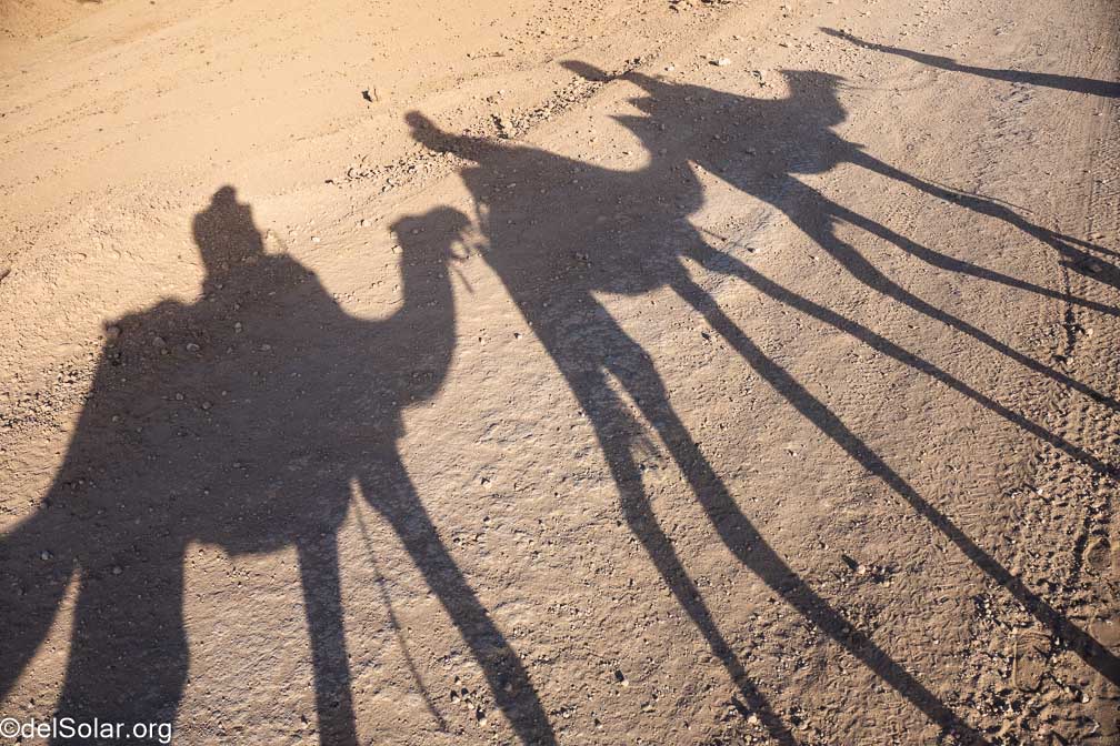 ILCE-7RM4  --  18-50mm F2.8 DC DN | Contemporary 021 -- 1/3200 sec at f / 5.0 -- ISO 800 -- 0 EV -- 