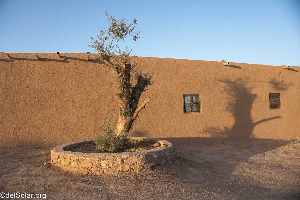 ILCE-7RM4  --  18-50mm F2.8 DC DN | Contemporary 021 -- 1/1250 sec at f / 5.0 -- ISO 400 -- 0 EV -- 