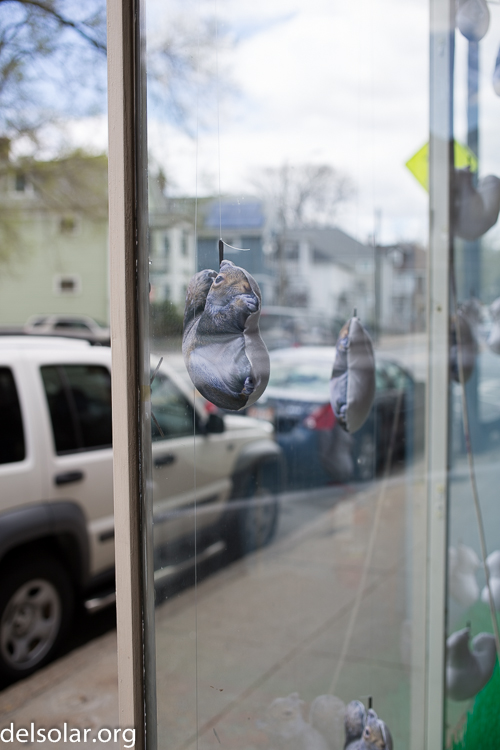 Canon EOS 5D Mark III  --  40 mm  --  EF40mm f/2.8 STM  