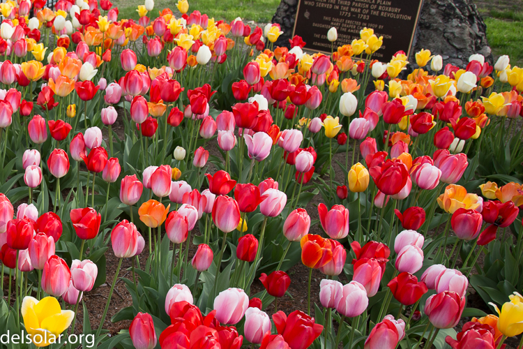 Canon EOS 5D Mark III  --  24 mm  --  EF24-105mm f/4L IS USM  