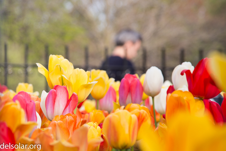 Canon EOS 5D Mark III  --  105 mm  --  EF24-105mm f/4L IS USM  