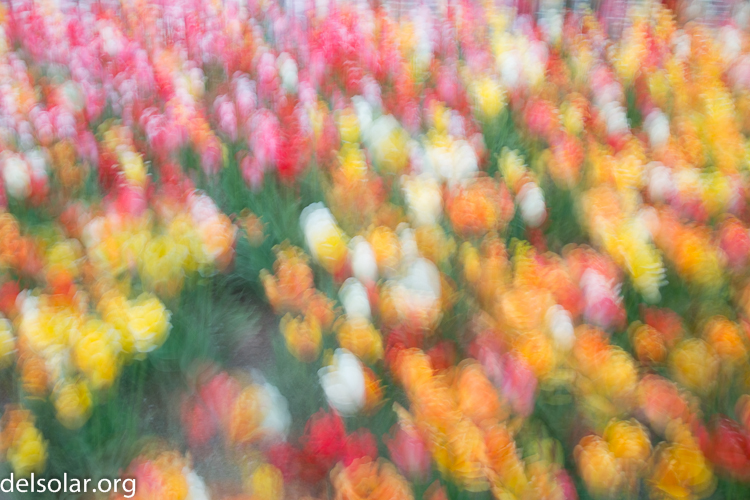 Canon EOS 5D Mark III  --  32 mm  --  EF24-105mm f/4L IS USM  