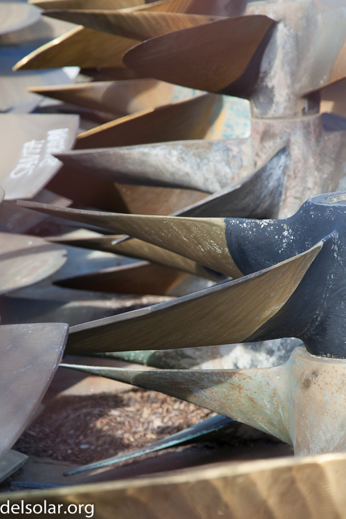 Canon EOS 5D Mark II  --  105 mm  --  EF24-105mm f/4L IS USM  