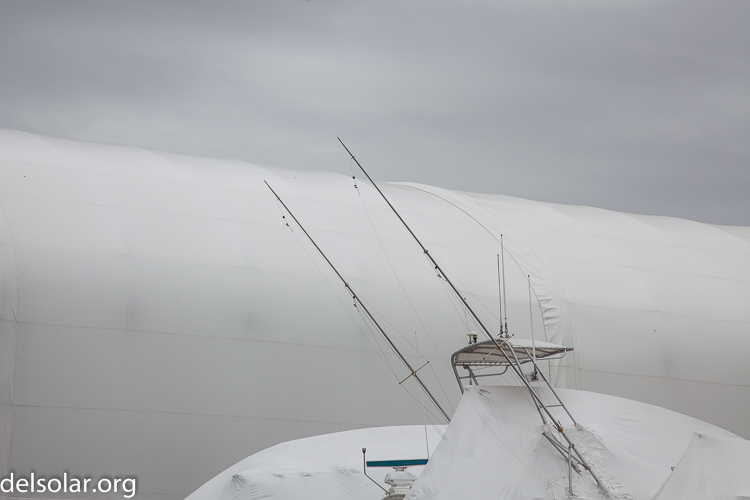 Canon EOS 5D Mark II  --  105 mm  --  EF24-105mm f/4L IS USM  