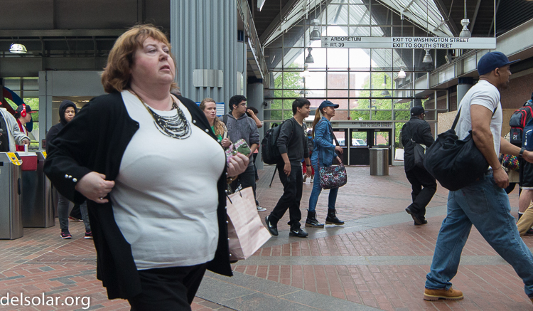 Canon EOS 5D Mark III  --  14 mm  --  14-14mm  