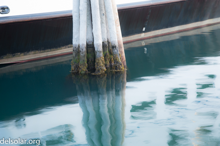 Canon EOS 5D Mark III  --  73 mm  --  EF24-105mm f/4L IS USM  