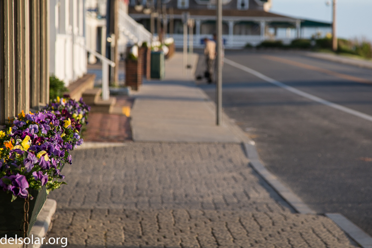 Canon EOS 5D Mark III  --  105 mm  --  EF24-105mm f/4L IS USM  