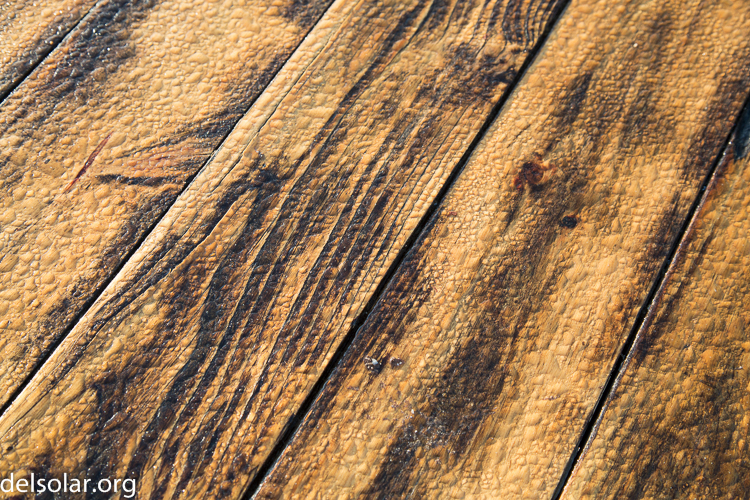 Canon EOS 5D Mark III  --  50 mm  --  EF24-105mm f/4L IS USM  