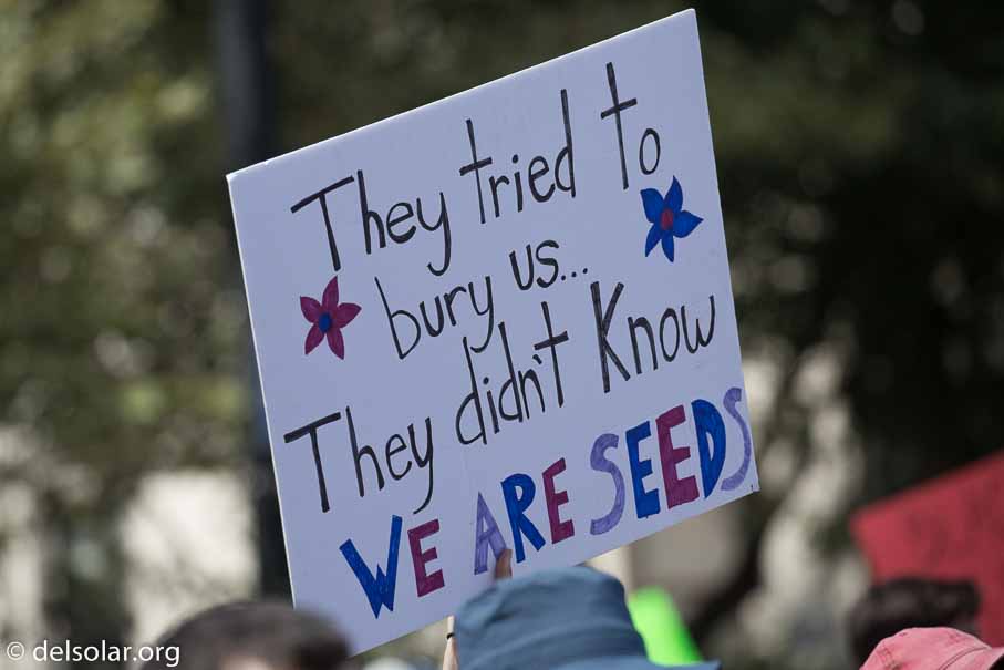 Canon EOS 5D Mark III  --  300 mm  --  EF100-400mm f/4.5-5.6L IS II USM  