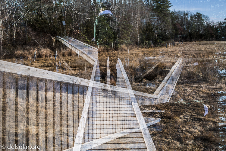 Canon EOS 5D Mark III  --  40 mm  --  EF40mm f/2.8 STM  