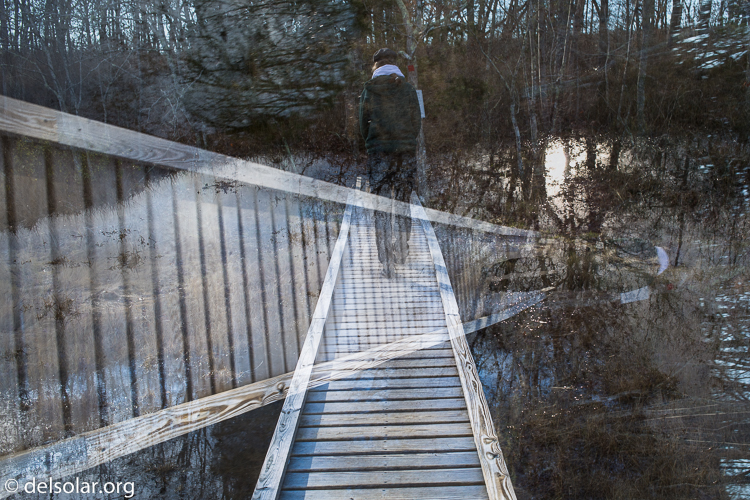 Canon EOS 5D Mark III  --  40 mm  --  EF40mm f/2.8 STM  