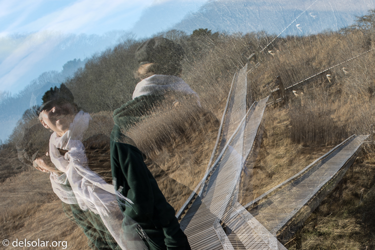 Canon EOS 5D Mark III  --  40 mm  --  EF40mm f/2.8 STM  