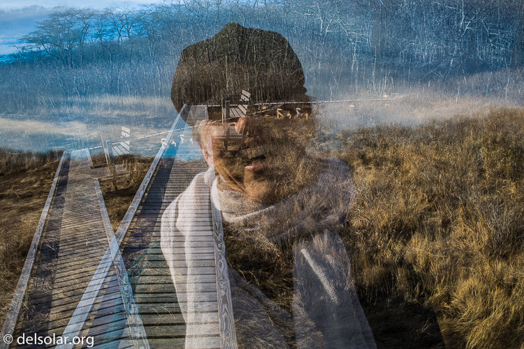 Canon EOS 5D Mark III  --  40 mm  --  EF40mm f/2.8 STM  