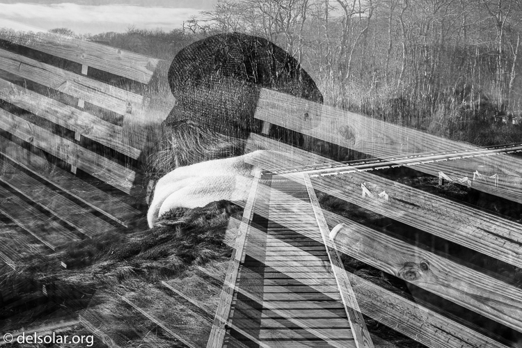 Canon EOS 5D Mark III  --  40 mm  --  EF40mm f/2.8 STM  