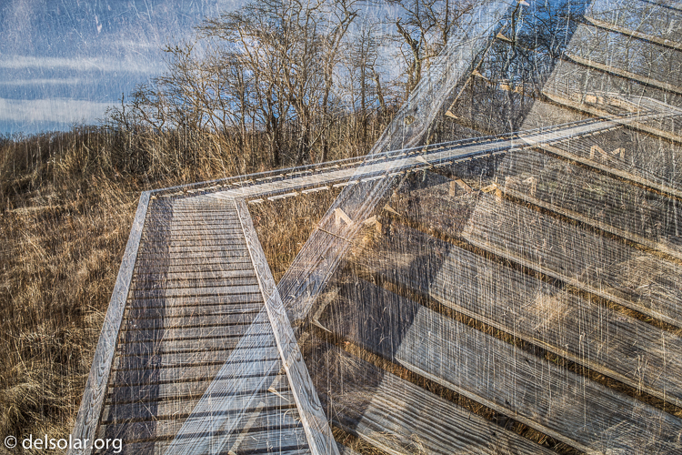 Canon EOS 5D Mark III  --  40 mm  --  EF40mm f/2.8 STM  