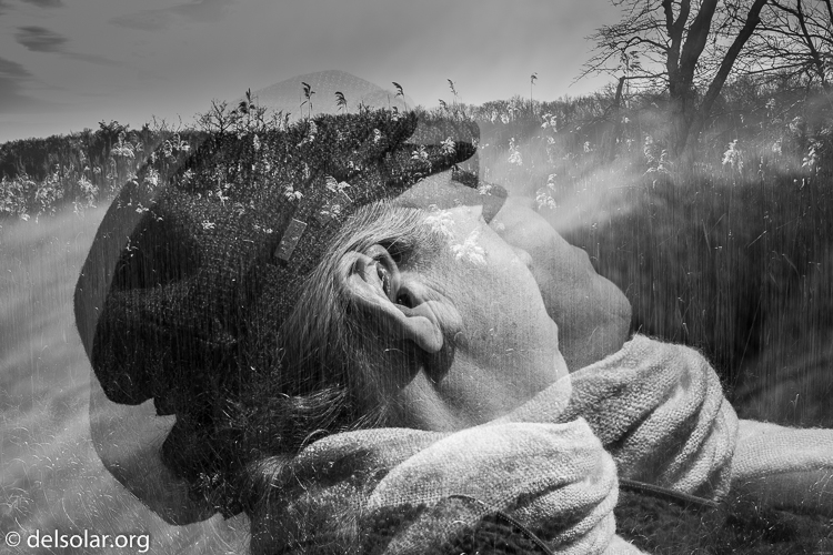 Canon EOS 5D Mark III  --  40 mm  --  EF40mm f/2.8 STM  