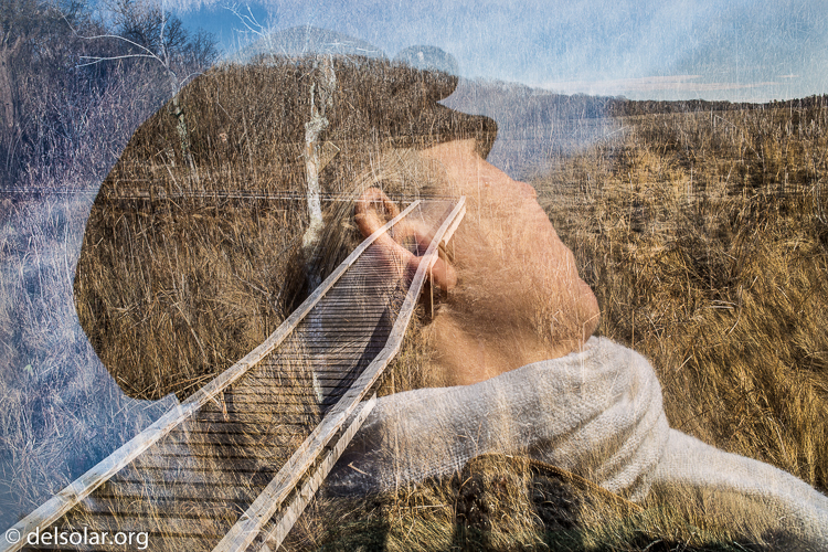 Canon EOS 5D Mark III  --  40 mm  --  EF40mm f/2.8 STM  