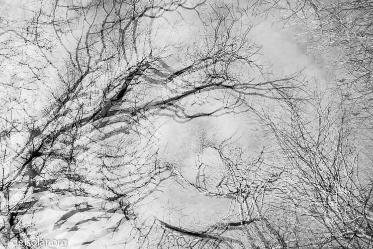 Canon EOS 5D Mark III  --  40 mm  --  EF40mm f/2.8 STM  