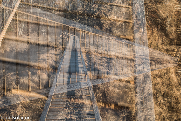 Canon EOS 5D Mark III  --  40 mm  --  EF40mm f/2.8 STM  