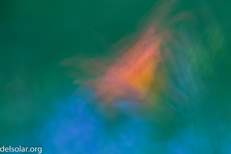 Canon EOS 5D Mark III  --  131 mm  --  EF70-200mm f/4L USM  