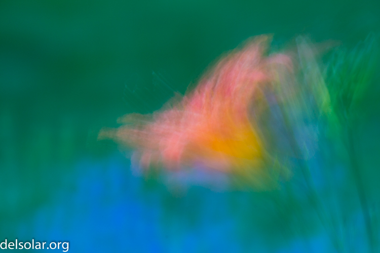 Canon EOS 5D Mark III  --  140 mm  --  EF70-200mm f/4L USM  