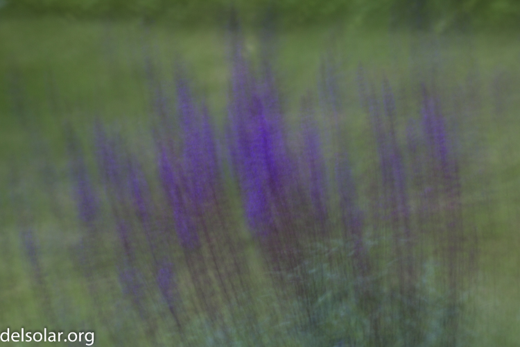 Canon EOS 5D Mark III  --  84 mm  --  EF70-200mm f/4L USM  