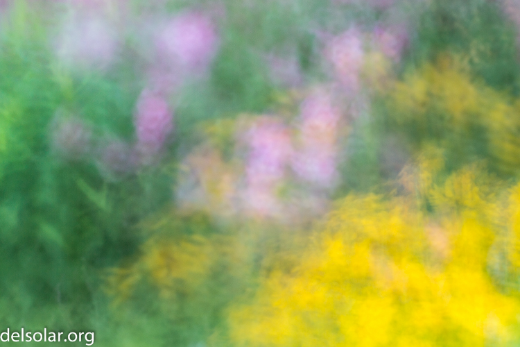 Canon EOS 5D Mark III  --  84 mm  --  EF70-200mm f/4L USM  