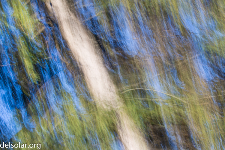 Canon EOS 5D Mark III  --  70 mm  --  EF70-200mm f/4L USM  