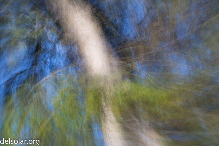 Canon EOS 5D Mark III  --  75 mm  --  EF70-200mm f/4L USM  