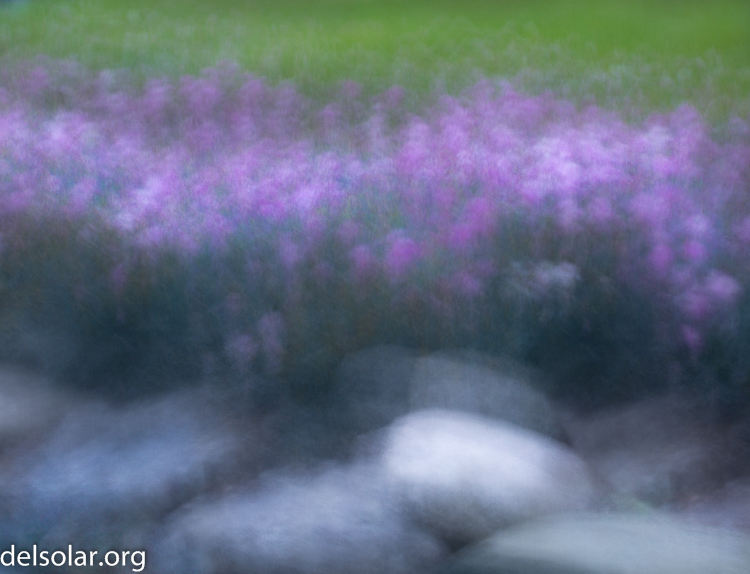 Canon EOS 5D Mark III  --  70 mm  --  EF70-200mm f/4L USM  